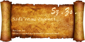 Szántay Zsanett névjegykártya